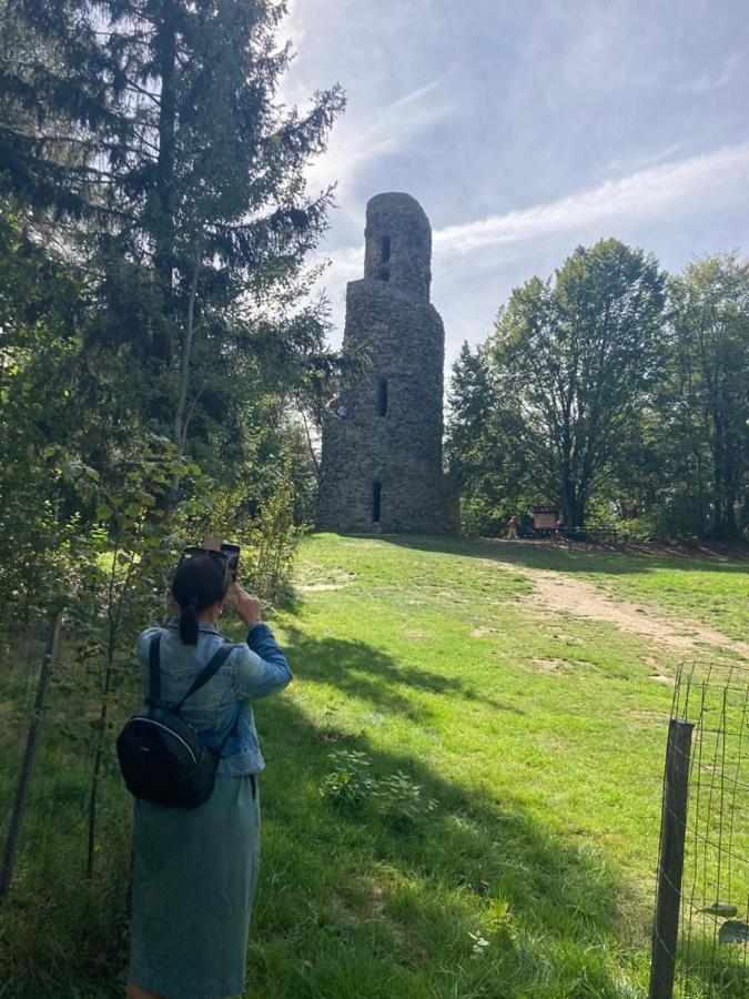 Hostinec U Pejska A Kocicky Marianske Lazne Exterior photo